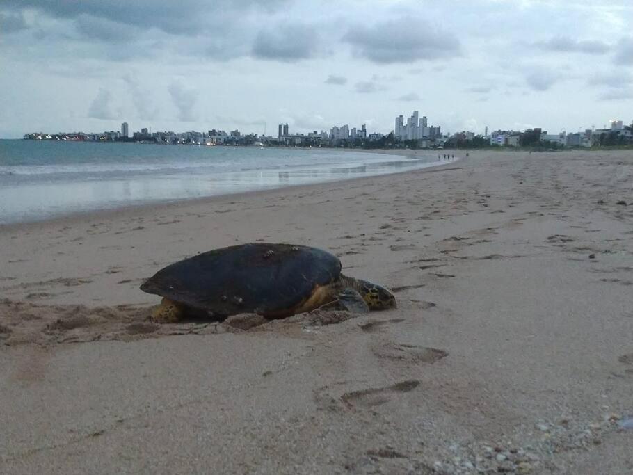 Joao Pessoa, A Dois Passos Do Paraiso, 2 Suites Com A/C, Vista Panoramica Para O Mar Do Bessa, Portaria 24H E 2 Vagas De Garagem Dış mekan fotoğraf
